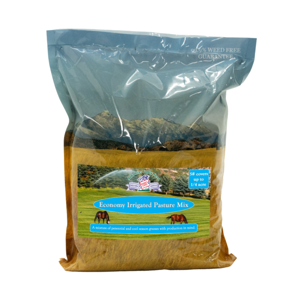 economy irrigated pasture grass seed mix