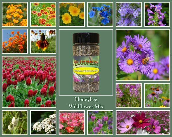Honey Bee Wildflower Mix - Image 2