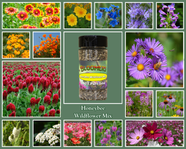 Honey Bee Wildflower Mix - Image 2