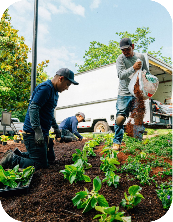 landscapers seeding